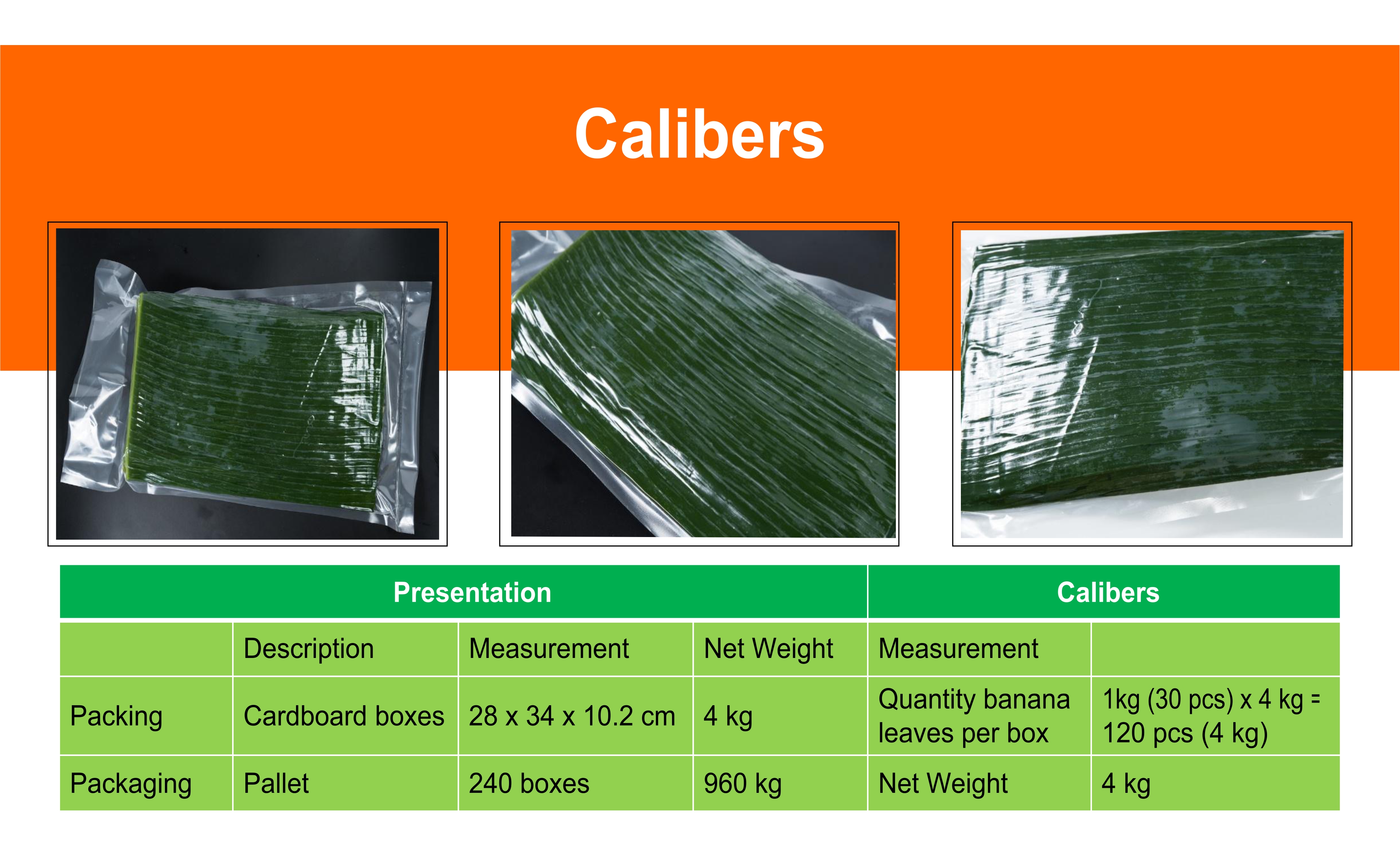 Wholesaler Of Fresh Banana Leaves GOOD QUALITY Inaexport
